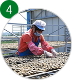 新會(huì)柑普茶廠(chǎng)家